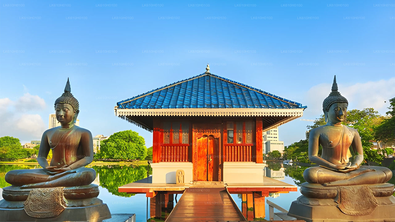 Экскурсия по Коломбо из Ахунгаллы.