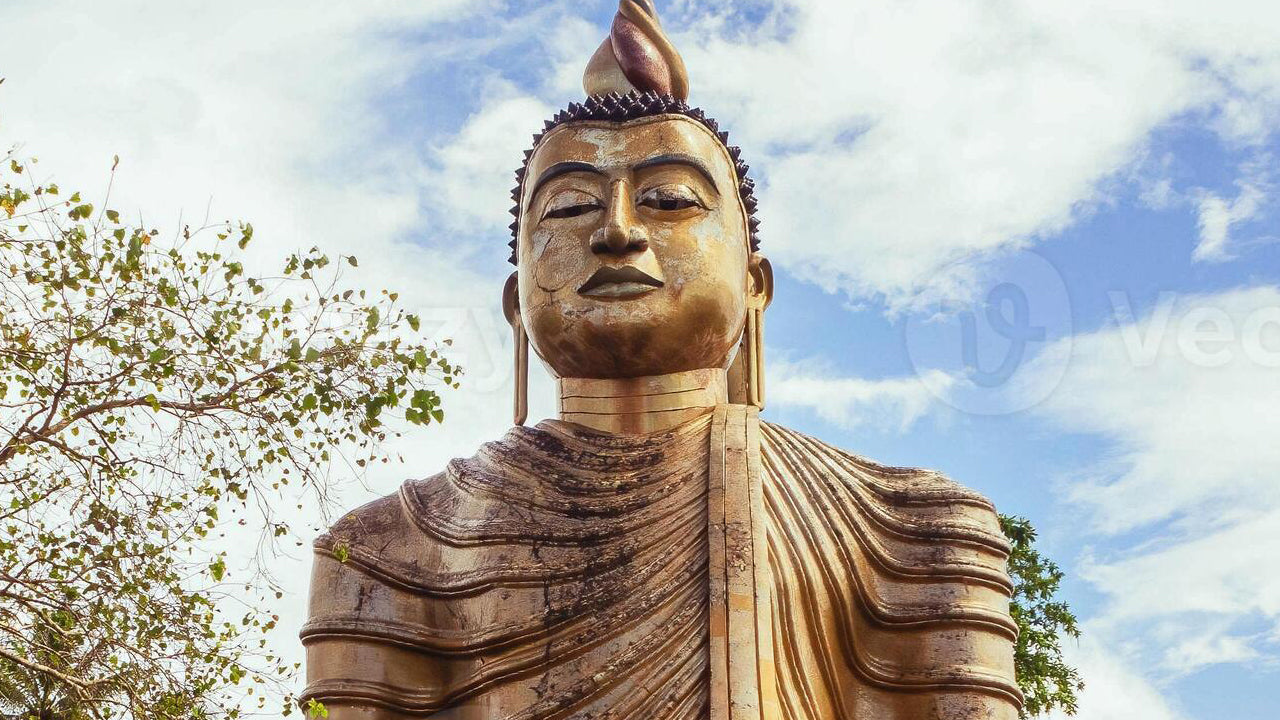 Hidden Temples and Secluded Coastlines from Galle City