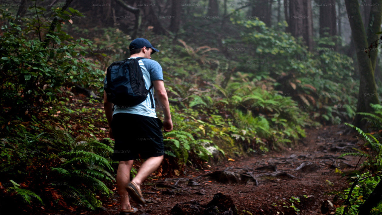 Приключенческий тур по тропическому лесу Синхараджа