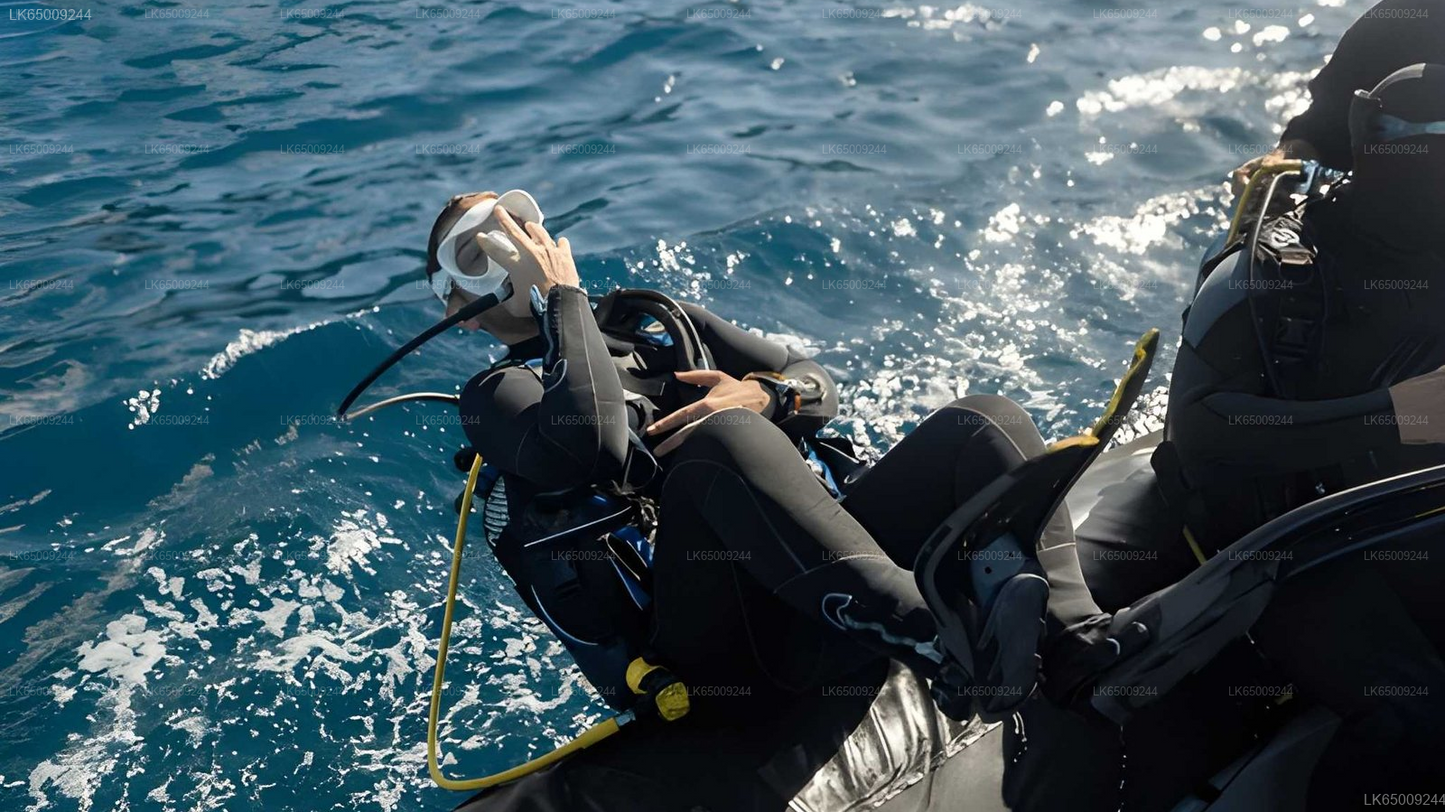 Scuba Diving from Mirissa
