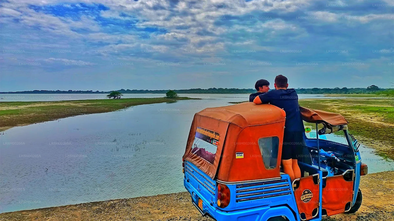 Сафари на тук-туках по южному побережью из Галле