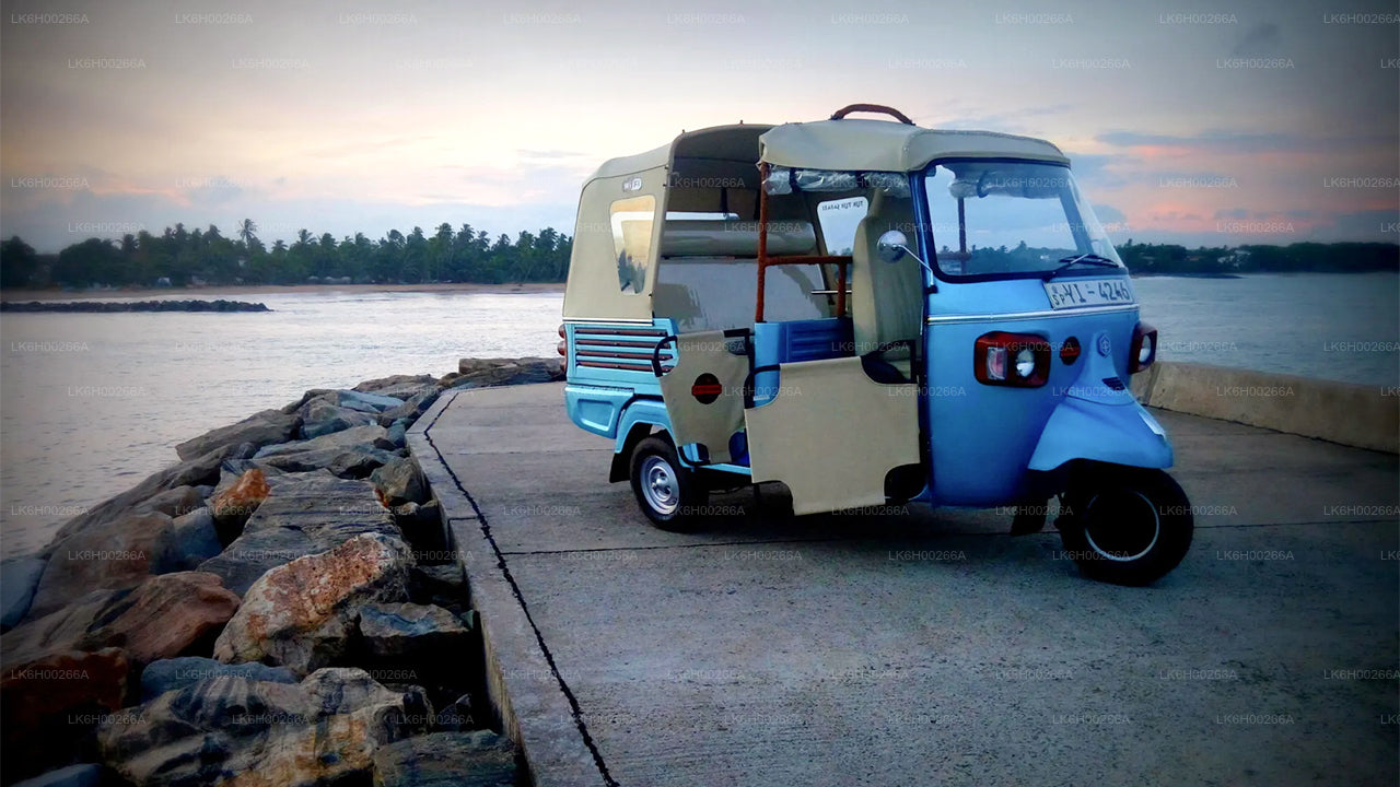 Сафари на тук-туках по южному побережью из Галле