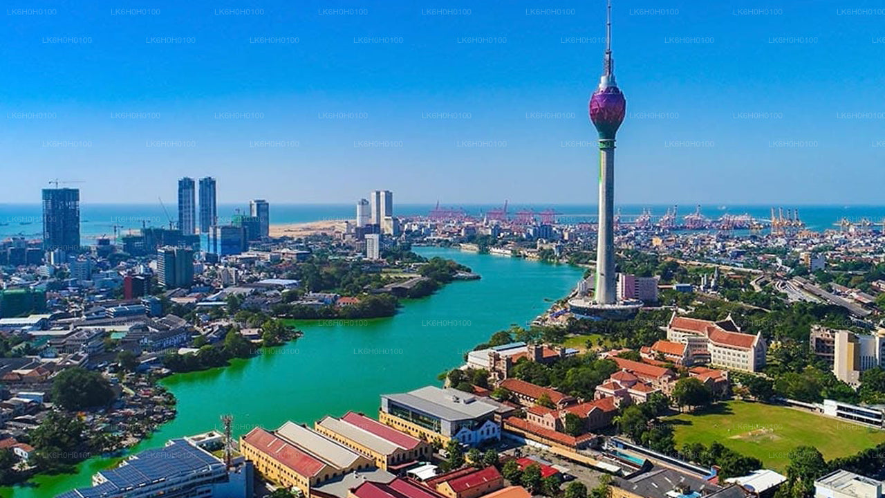 Приключения Коломбо Тук Тук