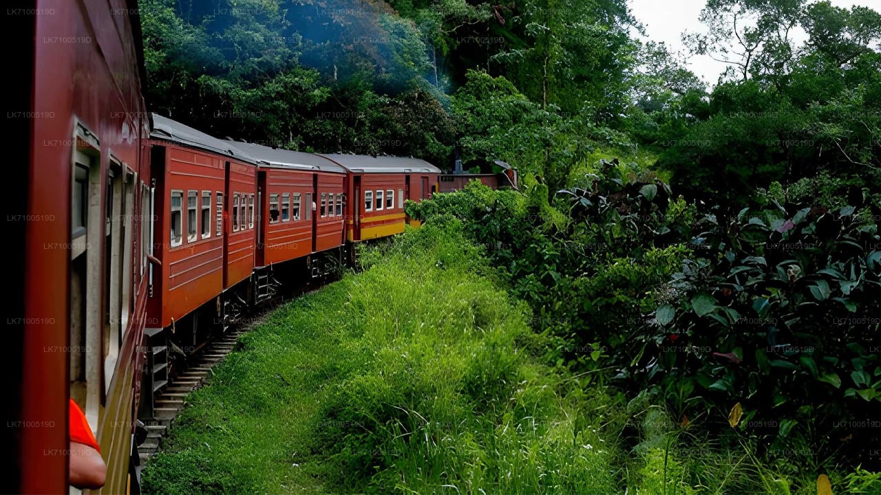 Поездка на поезде из Амбевелы в Эллу (поезд № 1005/1015)