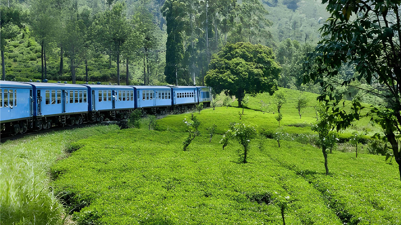 Поездка на поезде из Амбевелы в Эллу (поезд № 1005/1015)