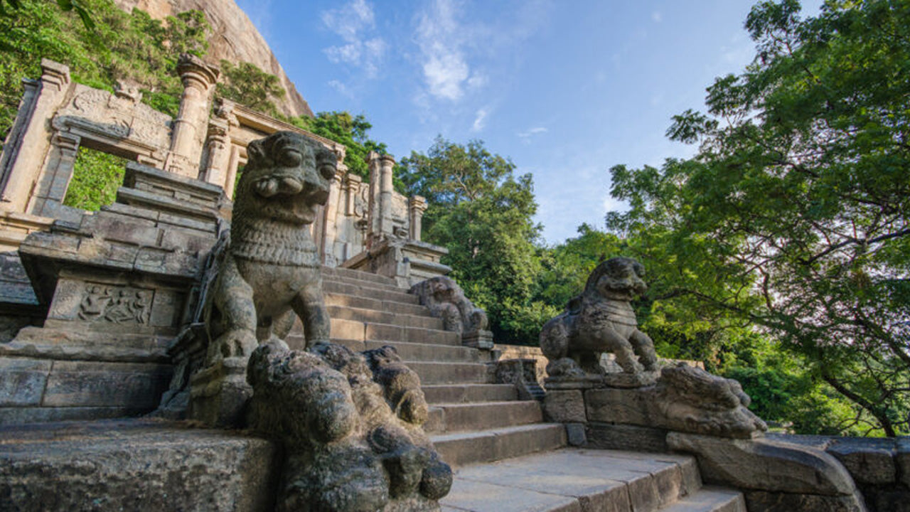 Входные билеты в Япахуву