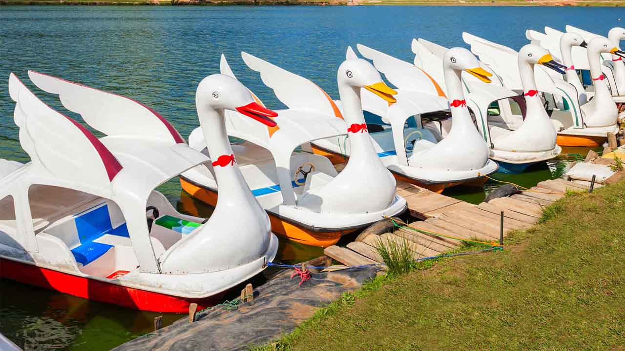 Входные билеты на озеро Грегори