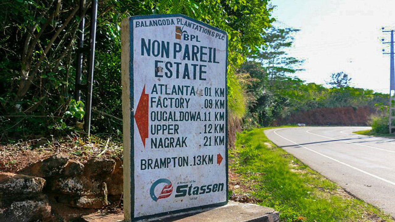 Пеший туризм по тропе Нонпарейл