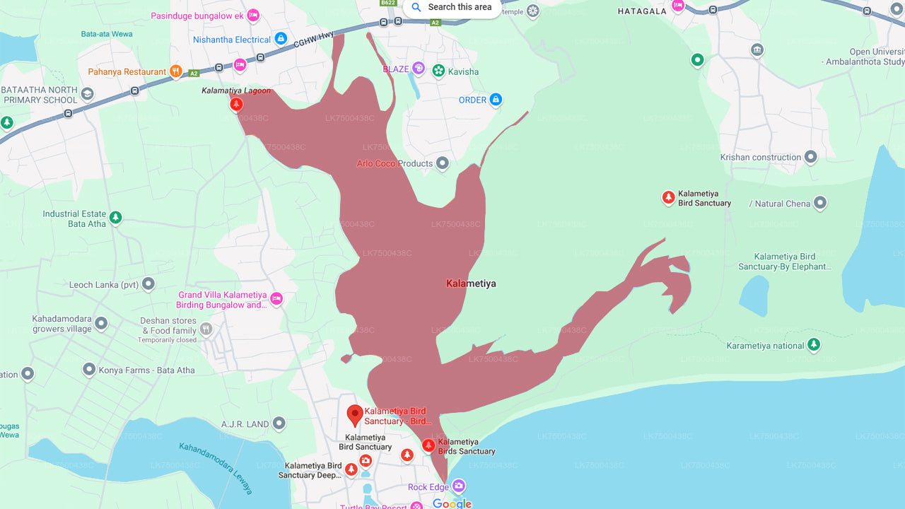Прогулка на лодке по заповеднику Каламетия с наблюдением за птицами