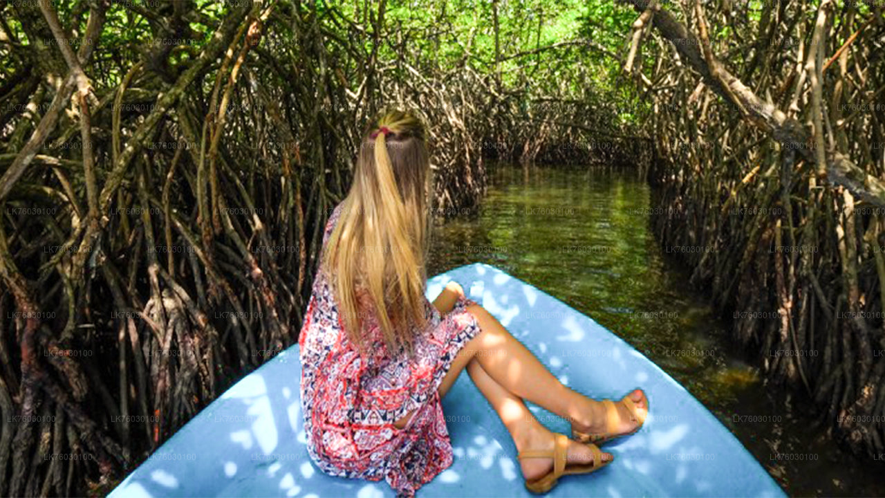 Экскурсия по городу Бентота и поездка в Галле из Берувалы.