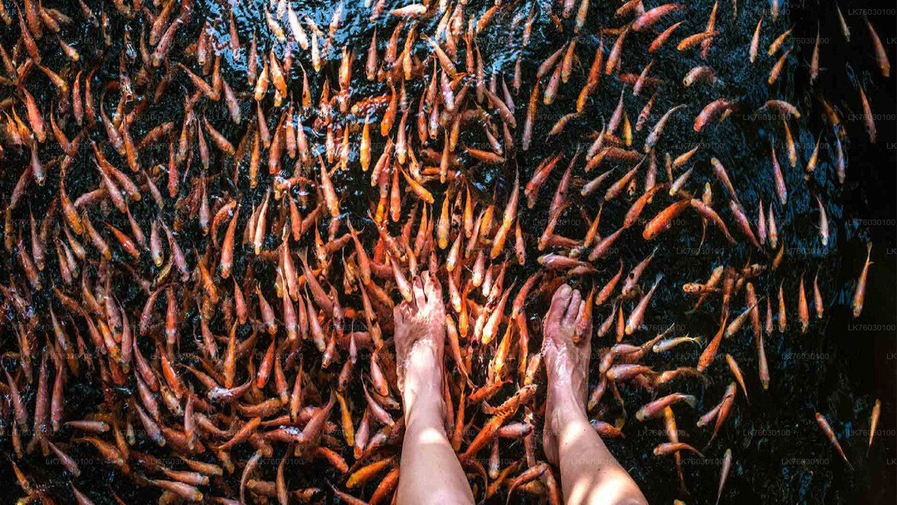 Bentota City Tour from Koggala