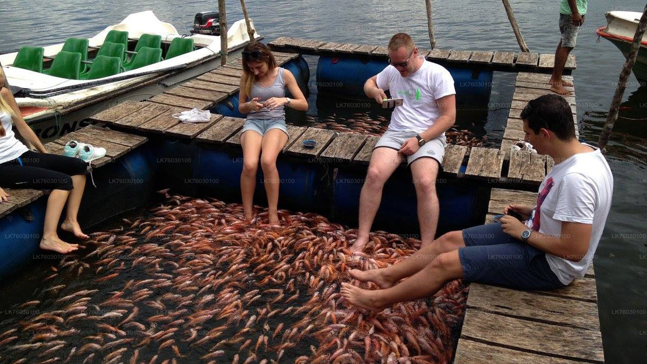 Сафари на лодке по реке Маду