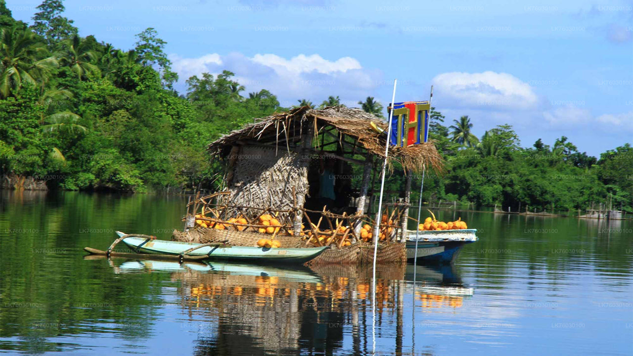 Bentota City Tour from Koggala