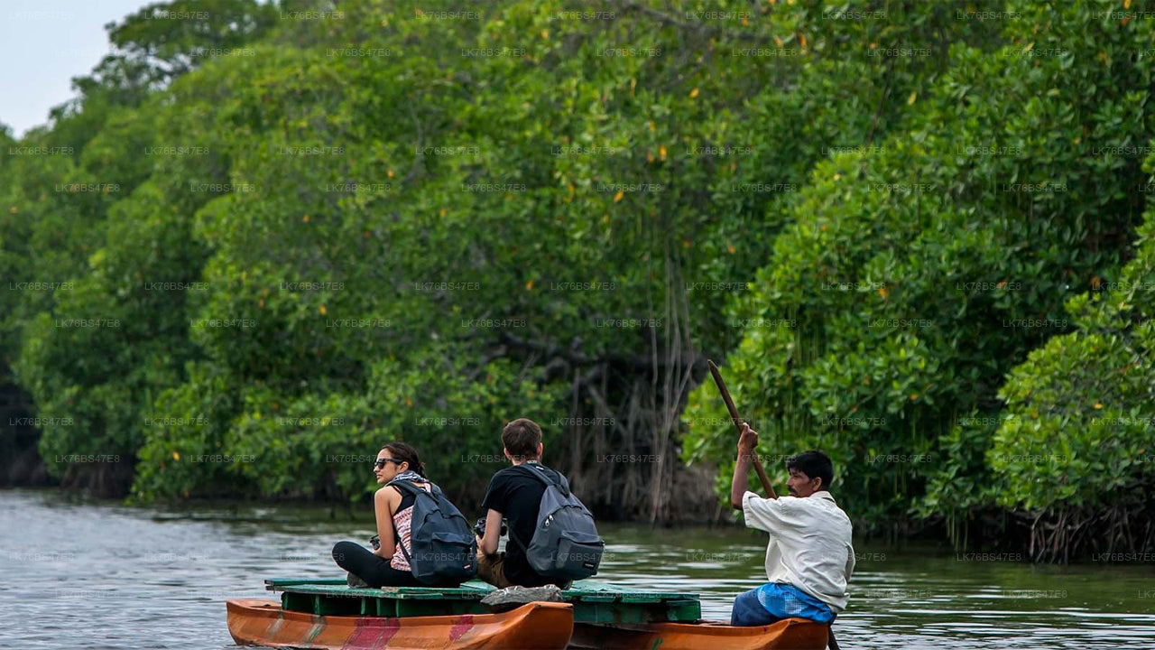 Guided Traditional Thoni Ride in Pasikudah Lagoon