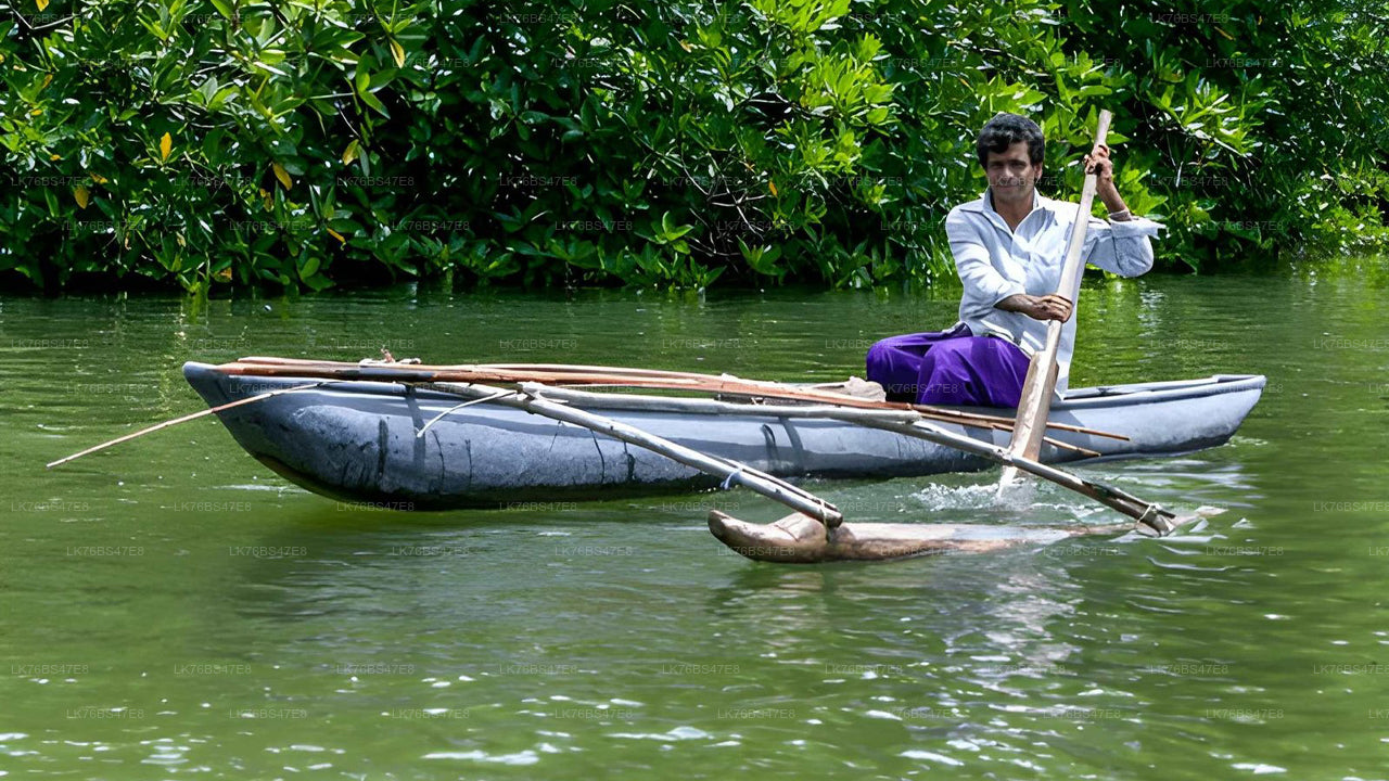 Guided Traditional Thoni Ride in Pasikudah Lagoon