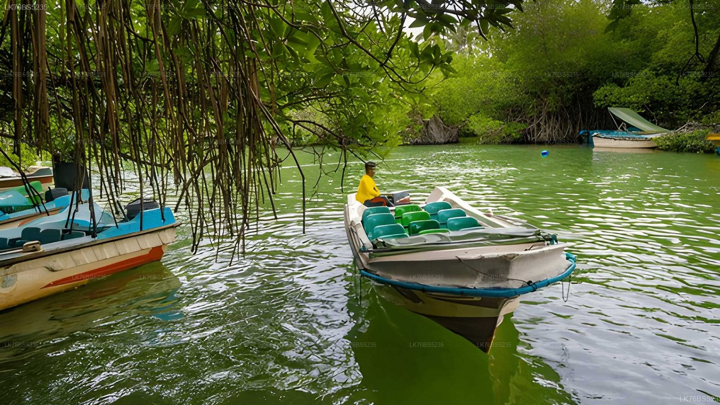 Lagoon Boat Tour from Mawella