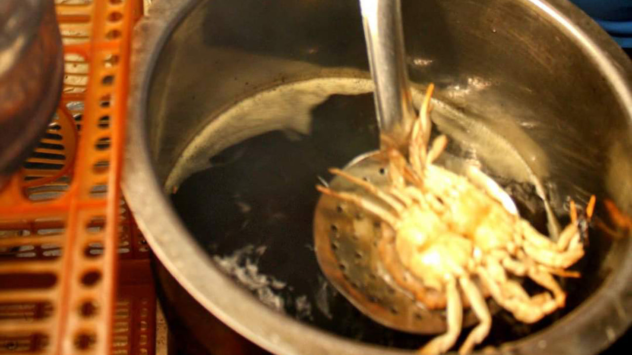 Велосипедный тур Streetfood из Коломбо