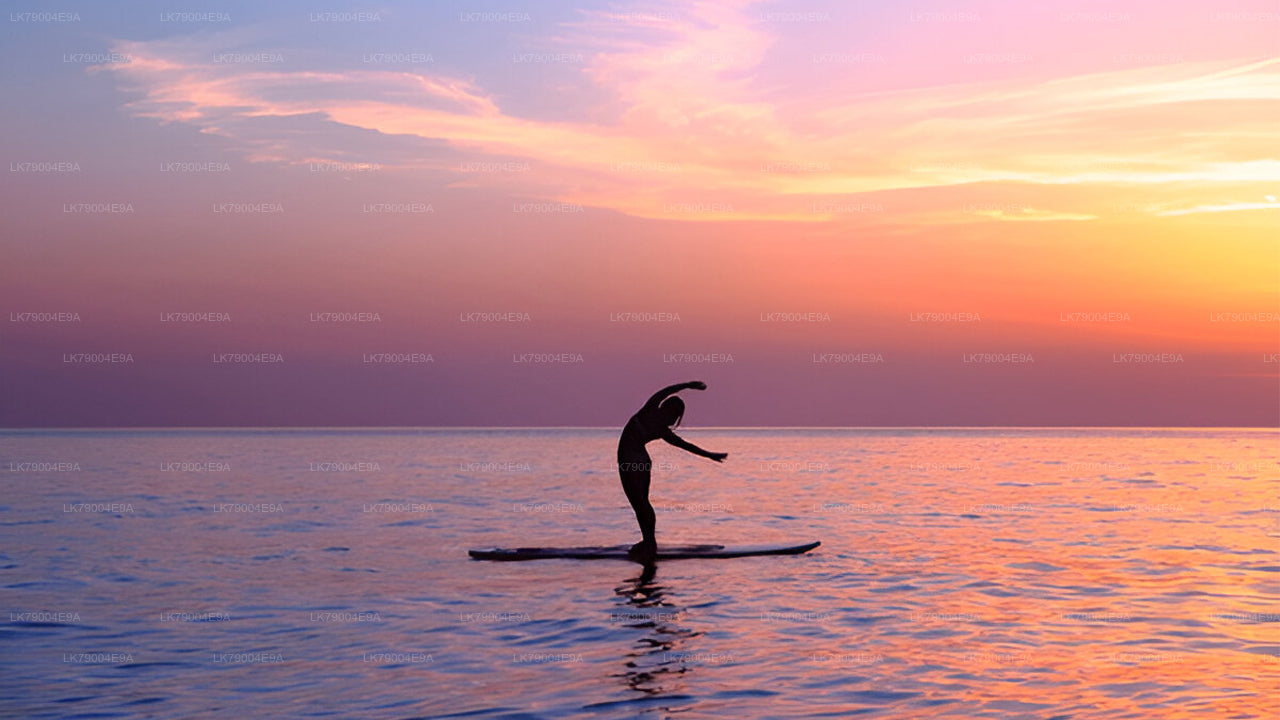 3-часовой совместный круиз на закате из Галле