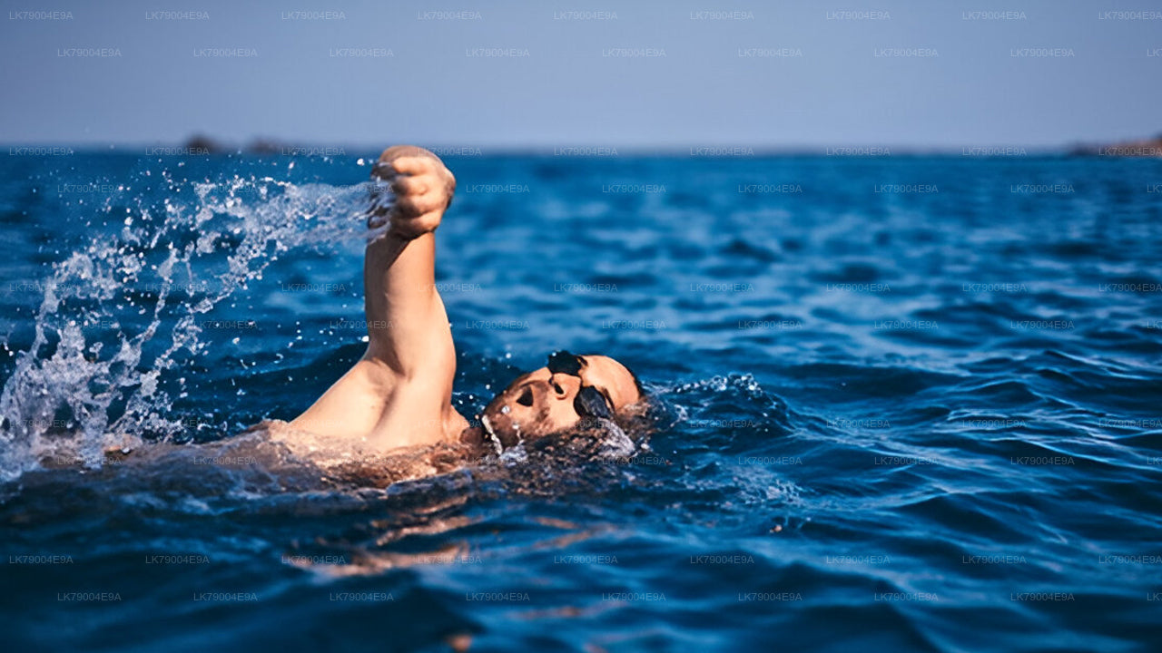 3-часовой совместный круиз на закате из Галле