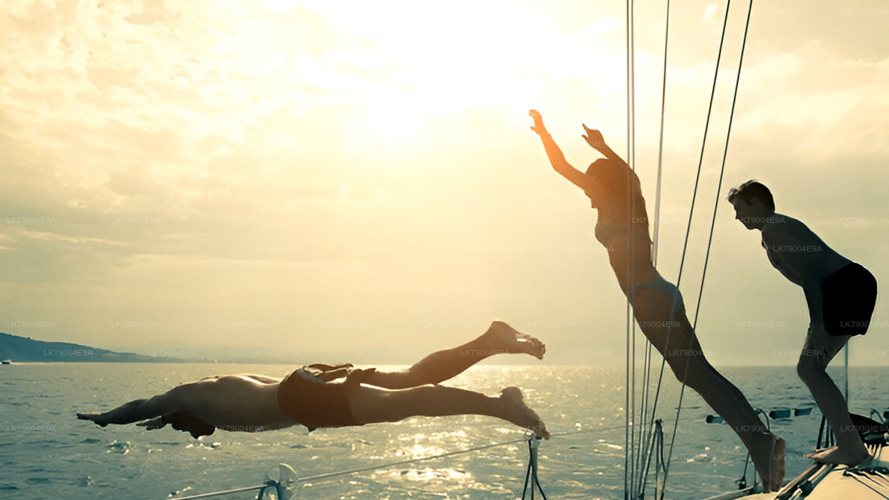 3-часовой совместный круиз на закате из Галле