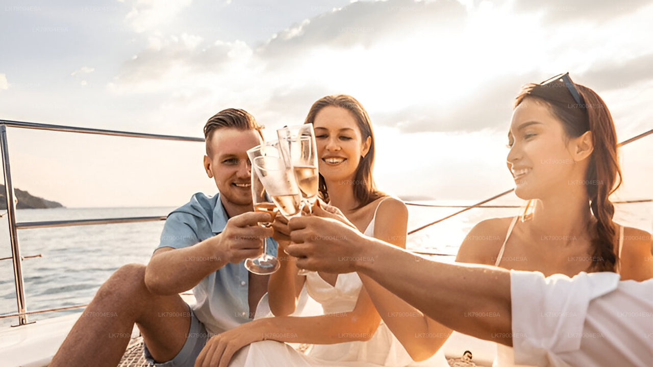 3-часовой совместный круиз на закате из Галле