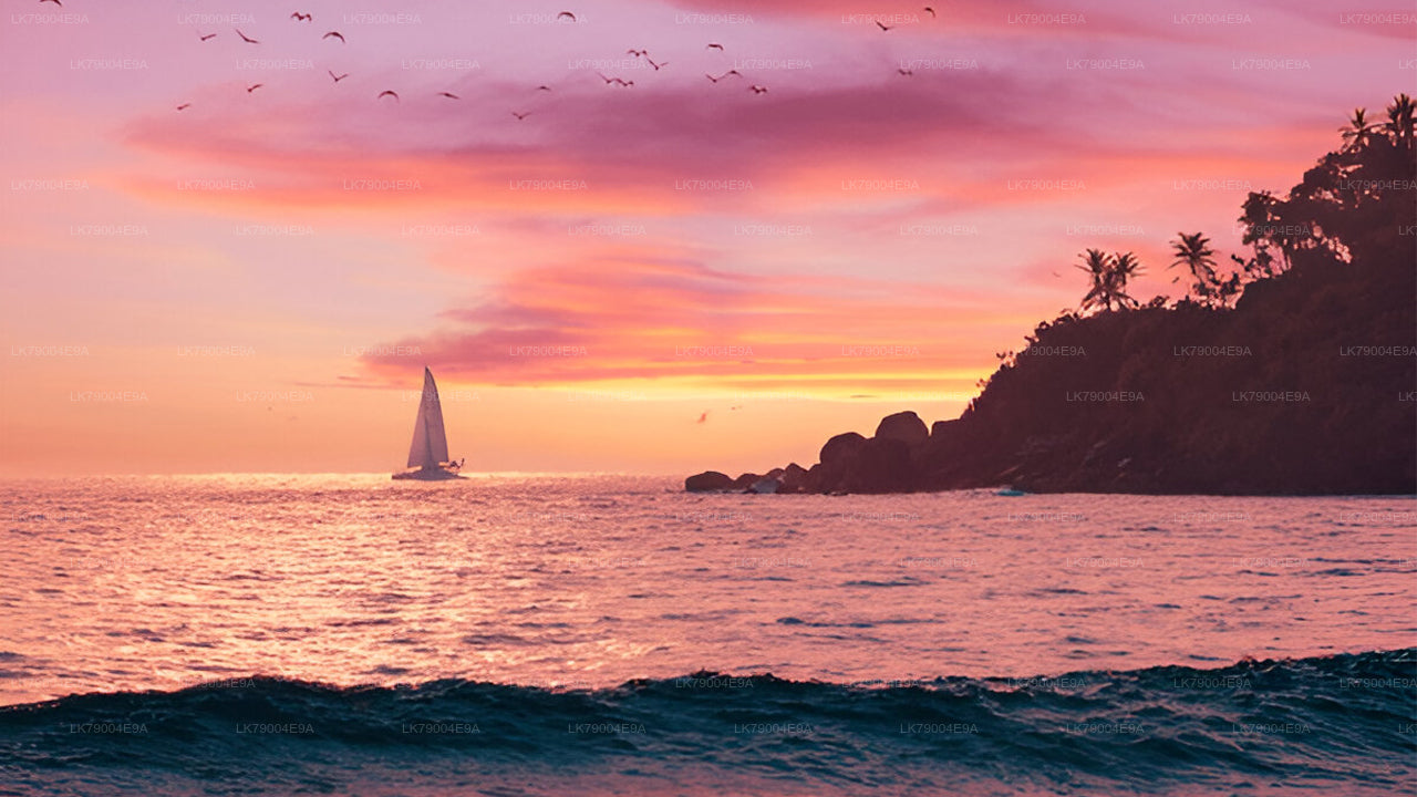 3-часовой совместный круиз на закате из Галле