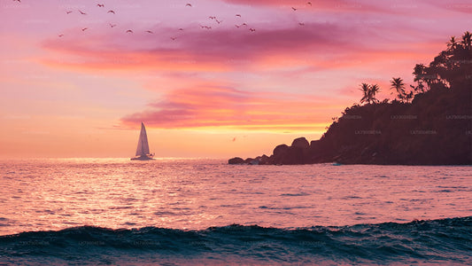 3-часовой совместный круиз на закате из Галле