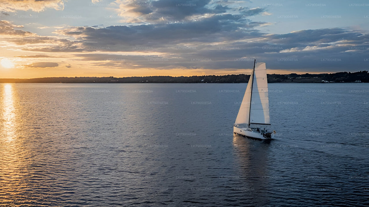 3-часовой совместный круиз на закате из Галле