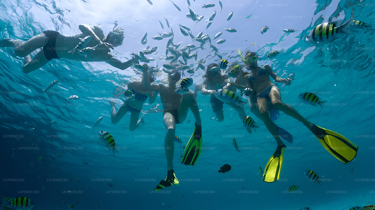 Двухдневный круиз от Мириссы на лайнере Ocean Diamond.