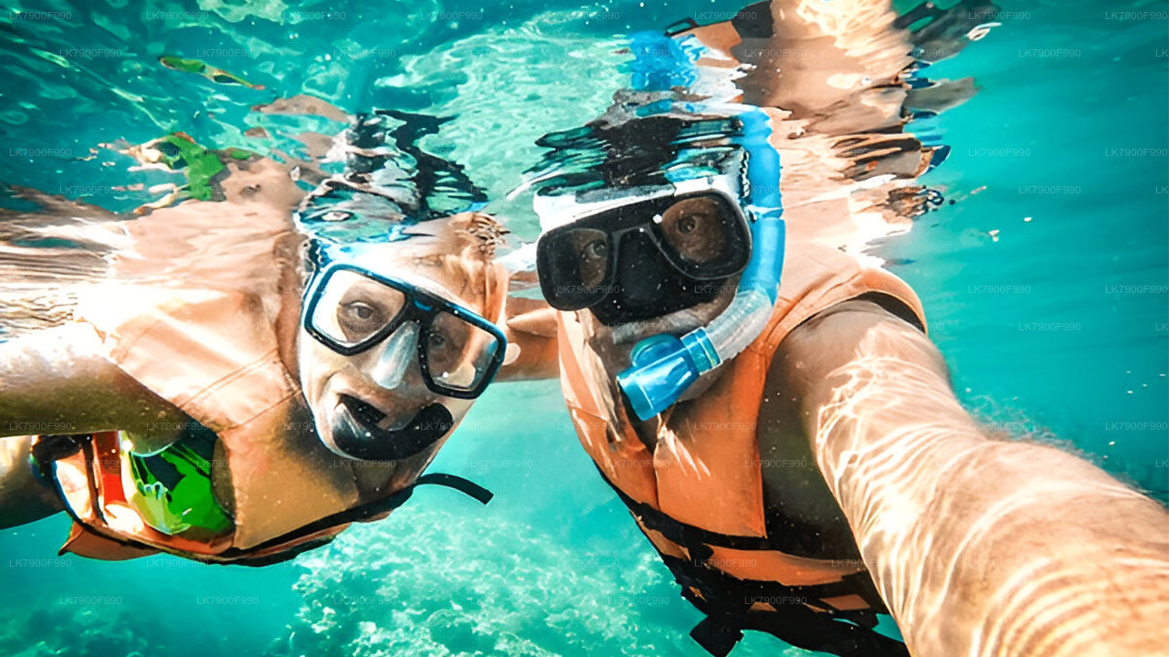 7-часовой частный круиз для наблюдения за китами из Мириссы.