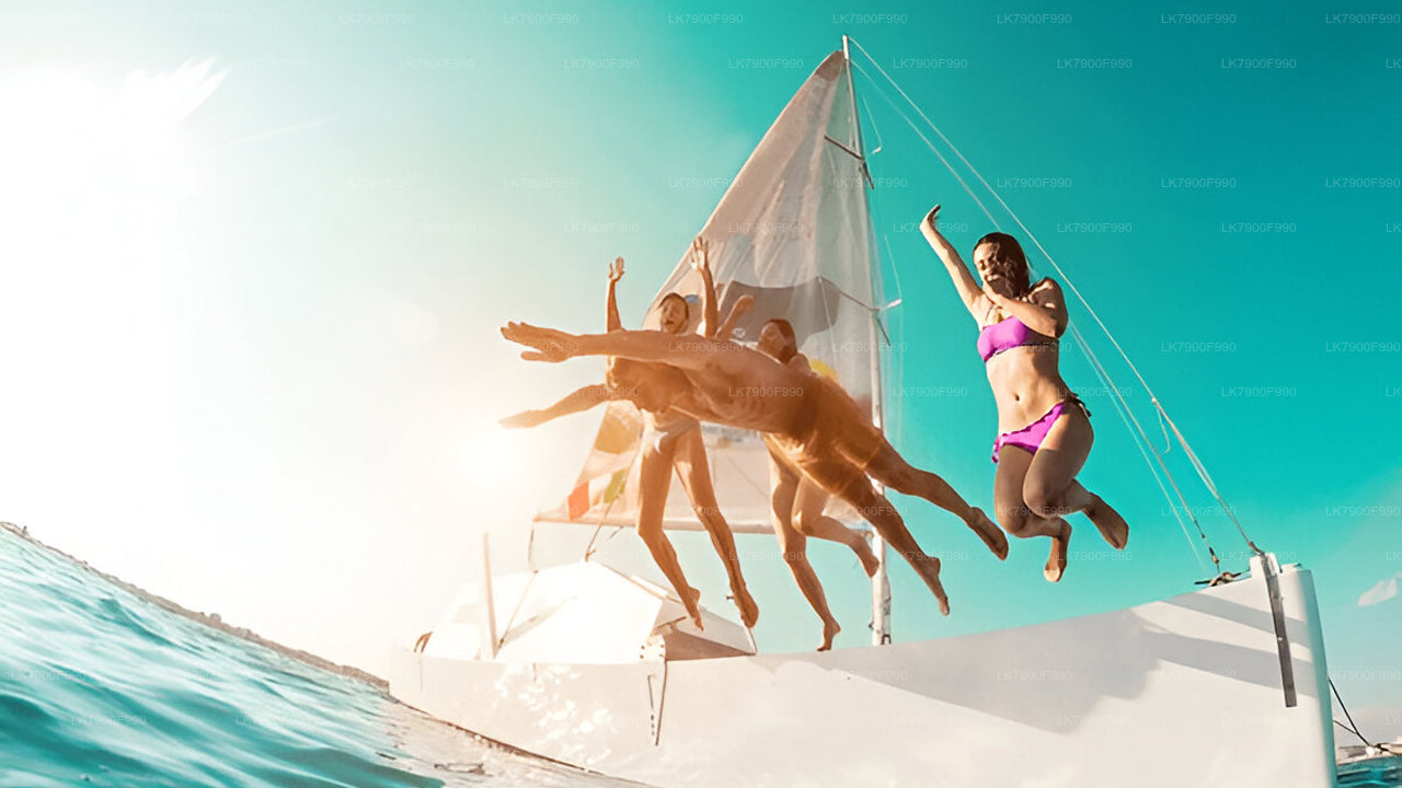 7-часовой частный круиз для наблюдения за китами из Мириссы.