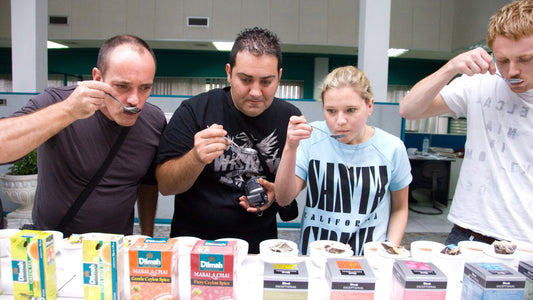 Дегустация цейлонского чая из Коломбо