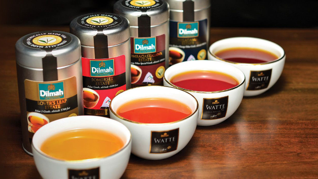 Дегустация цейлонского чая из Коломбо