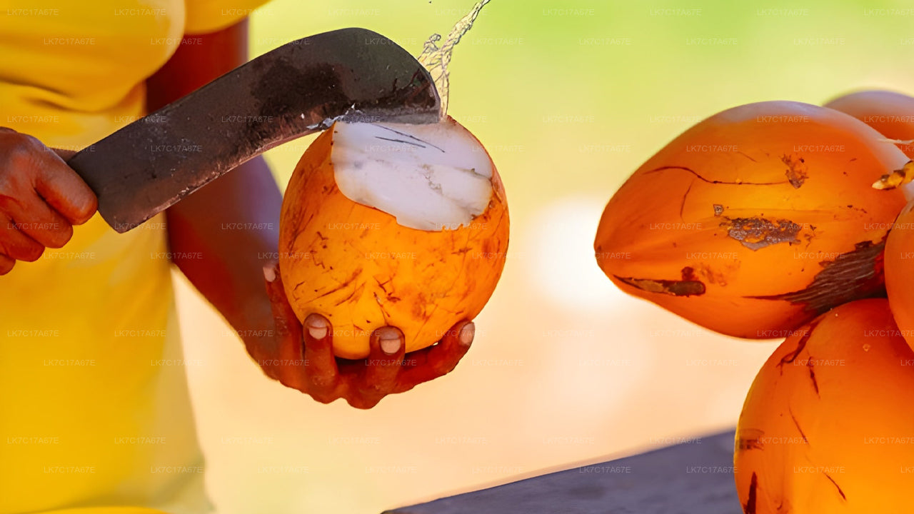 Person cutting into a coconut with a knife, surrounded by more coconuts.