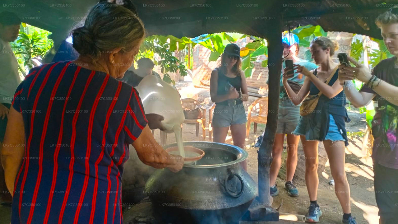 Опыт переработки творога в Тиссамахараме