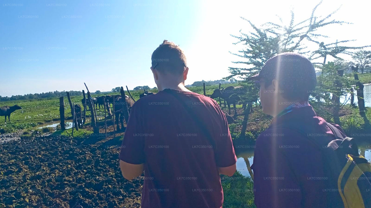 Опыт переработки творога в Тиссамахараме