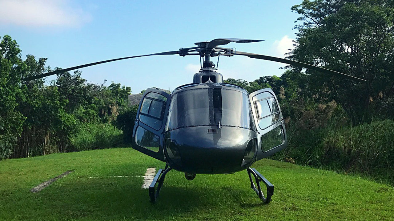 Black helicopter on grass with trees in the background