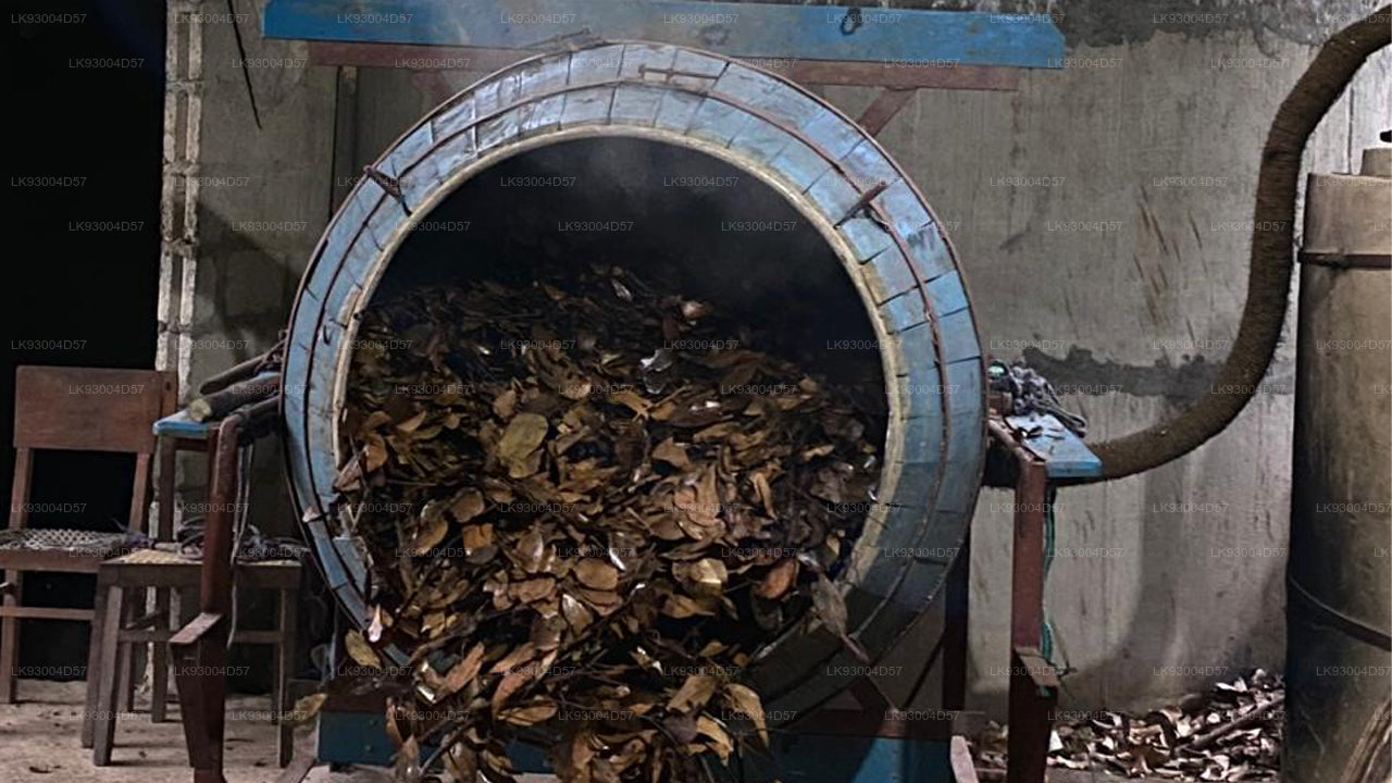 Hands-On Cinnamon Incense Making Experience from Ahangama