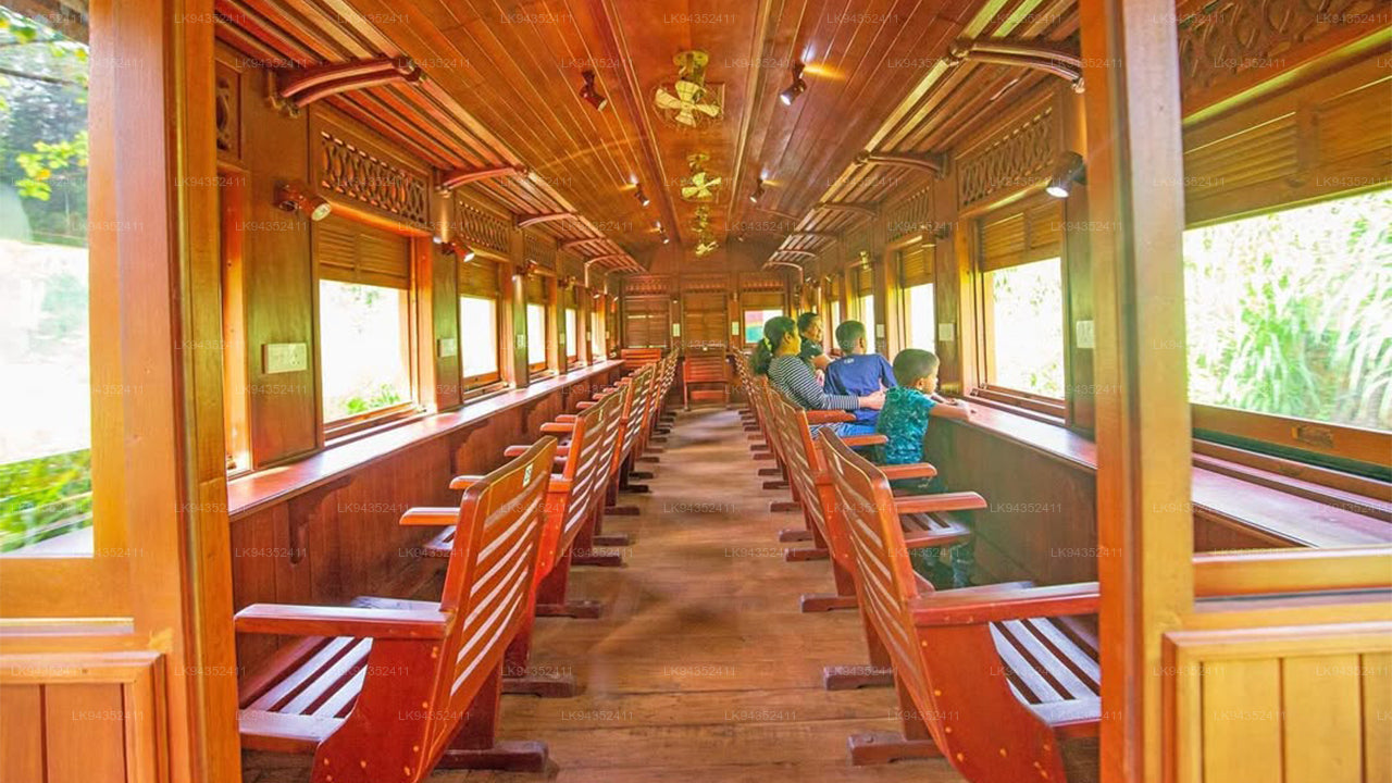 Calypso Tourist Train Ride