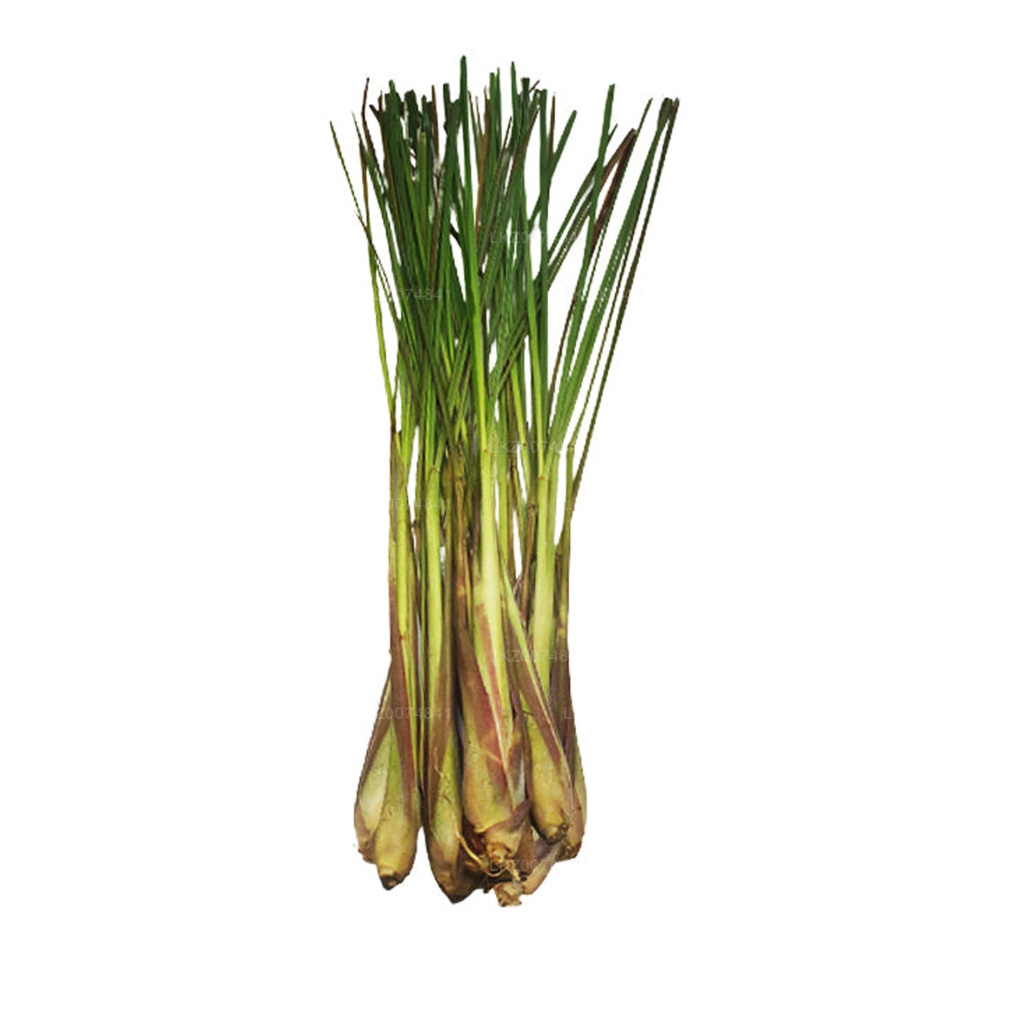 Свежий лимонный трав () 100 г