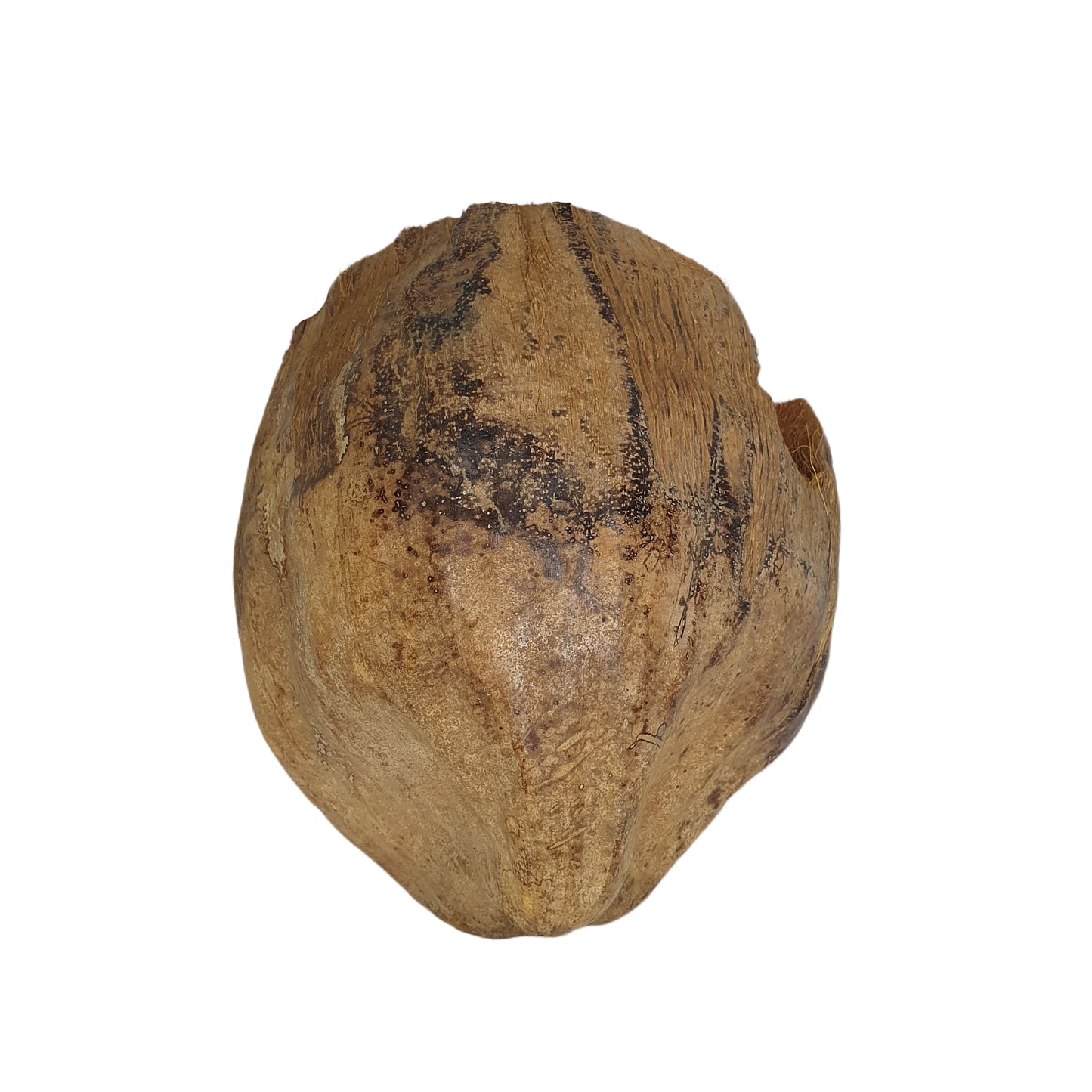 Укрытие для какао Bivenro Natural 3/4 с дизайном из шелухи (свободный размер)