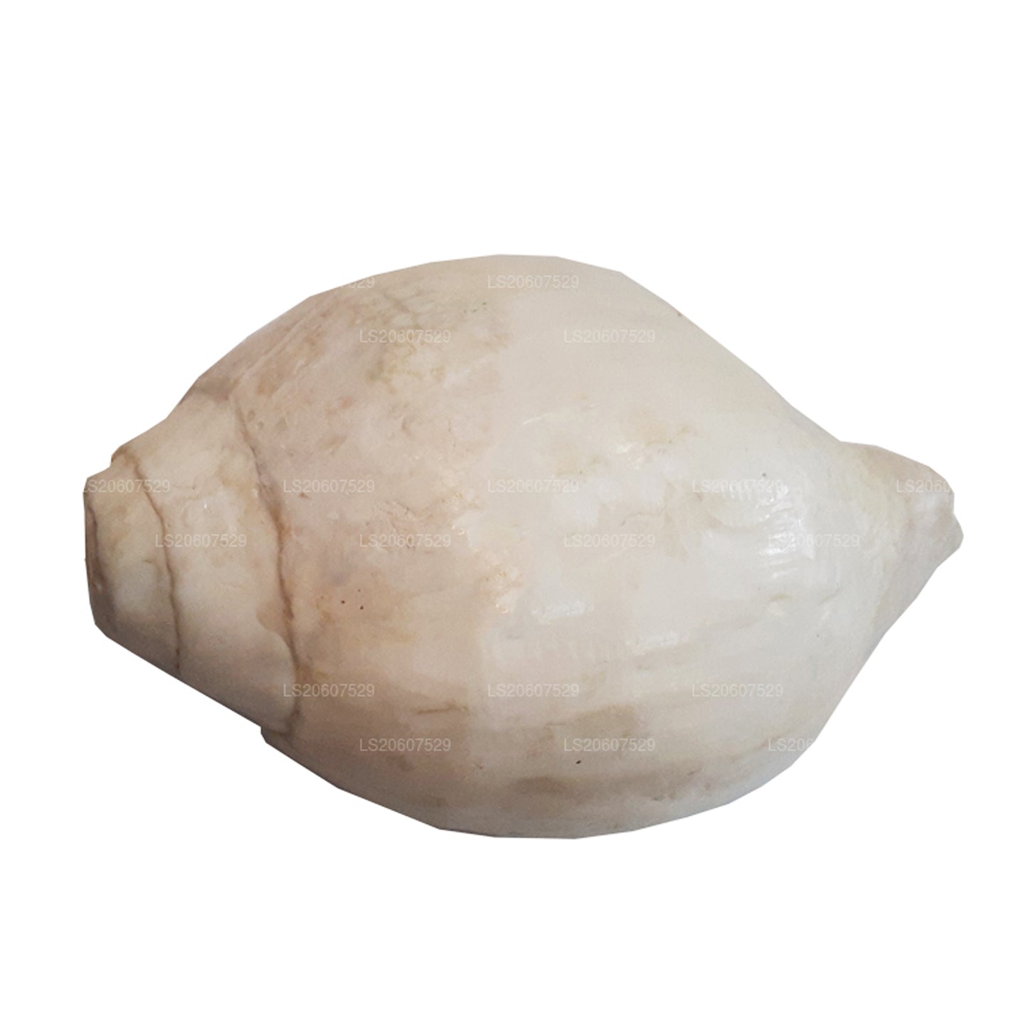 Лакпура, Шри-Ланка, Хакгедия