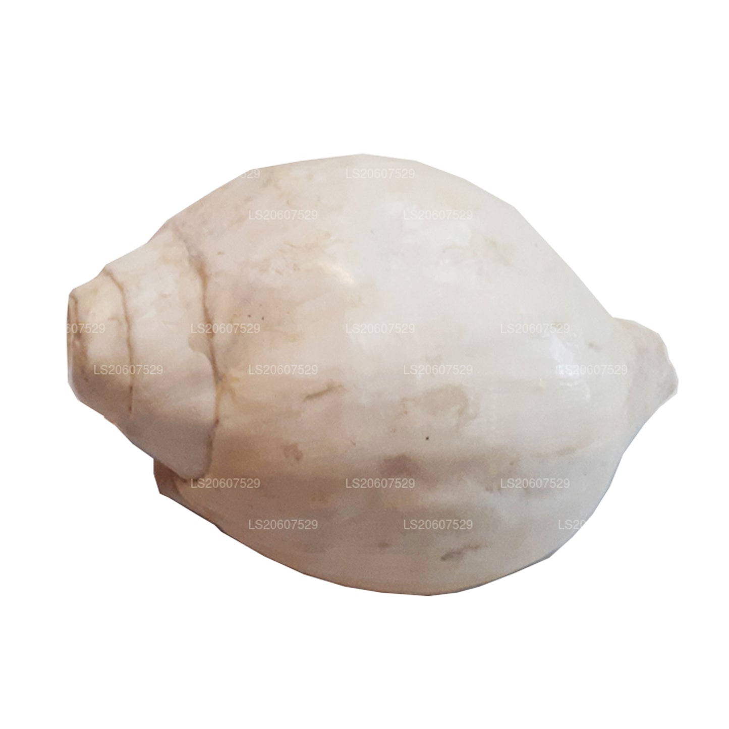 Лакпура, Шри-Ланка, Хакгедия