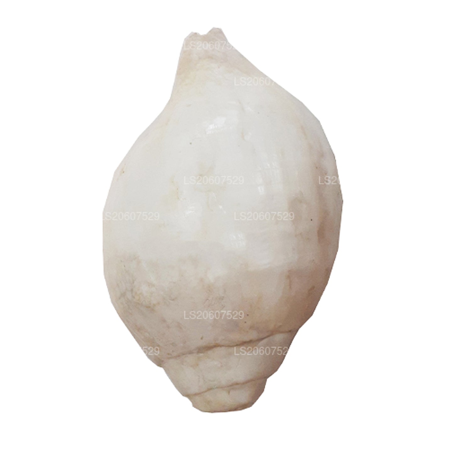 Лакпура, Шри-Ланка, Хакгедия