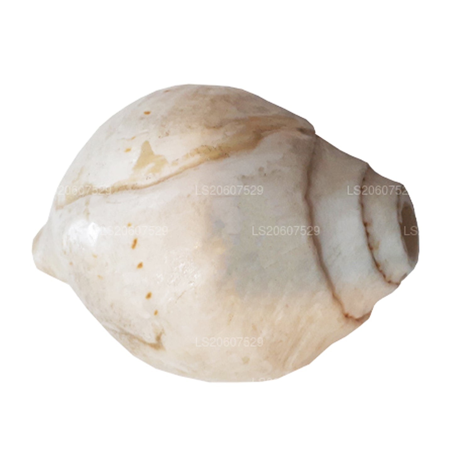 Лакпура, Шри-Ланка, Хакгедия