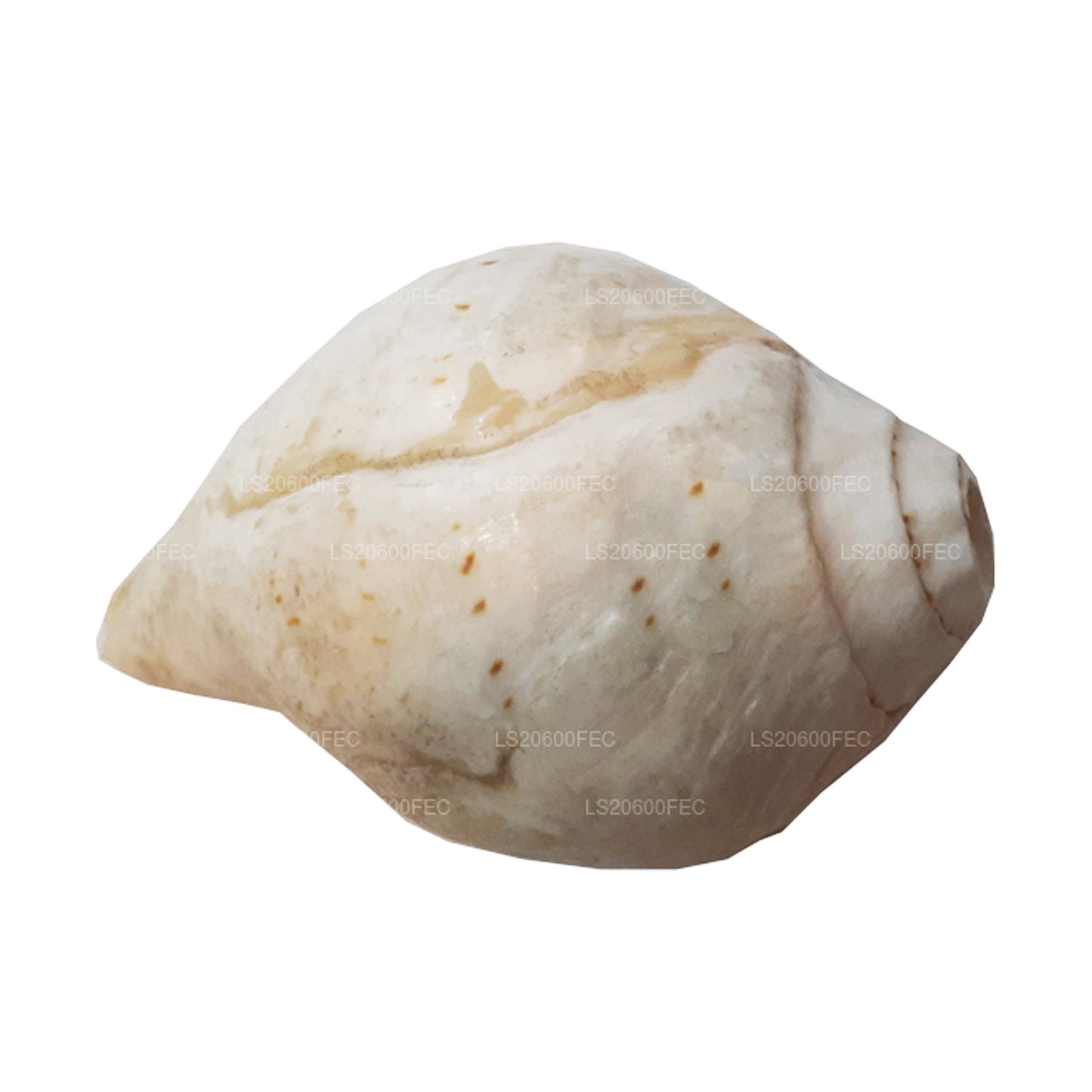 Лакпура, Шри-Ланка, Хакгедия