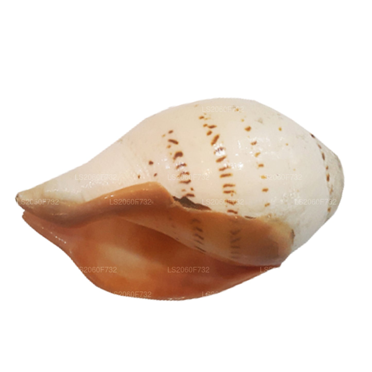 Лакпура, Шри-Ланка, Хакгедия