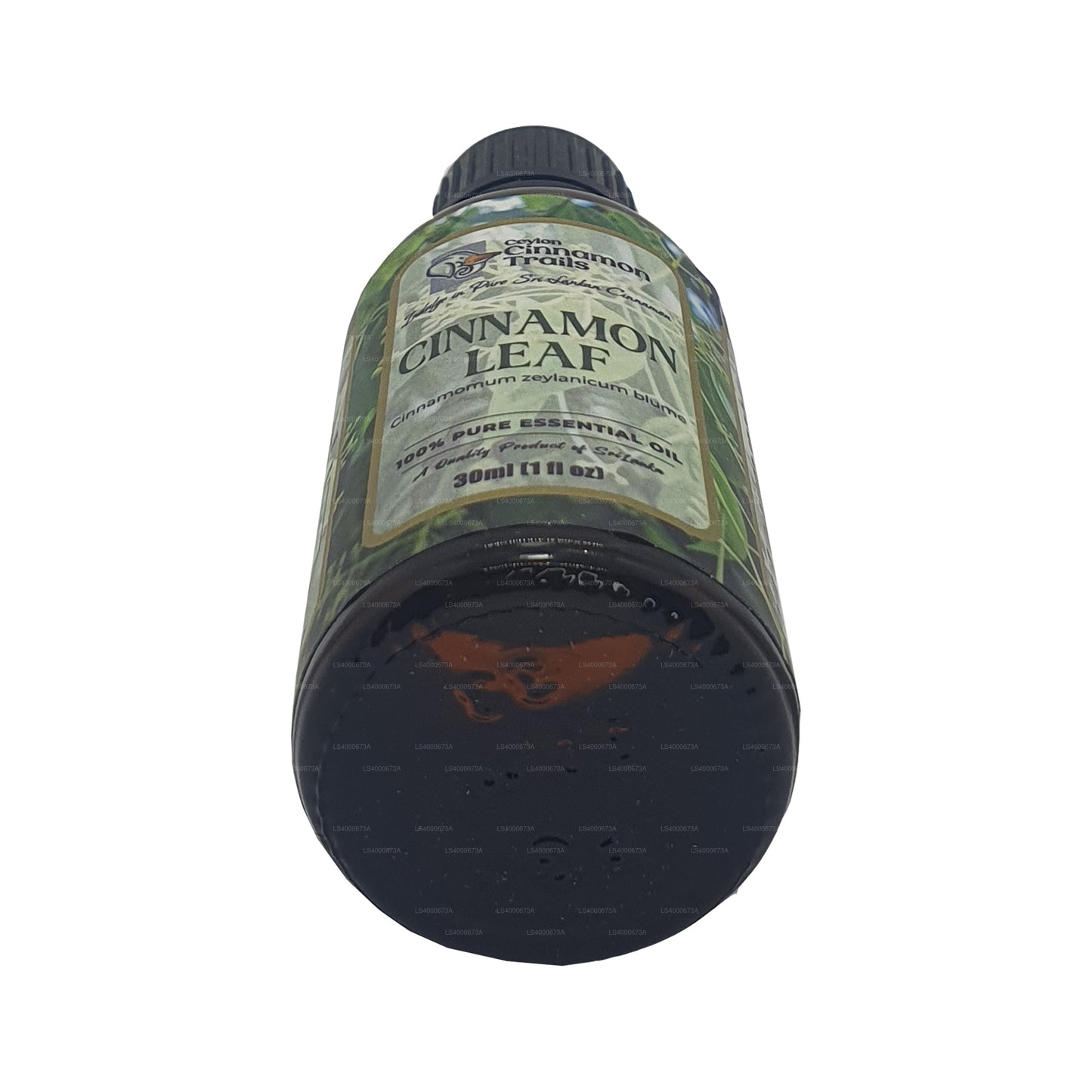 Эфирное масло листьев корицы Ceylon Cinnamon Trails (10 мл)