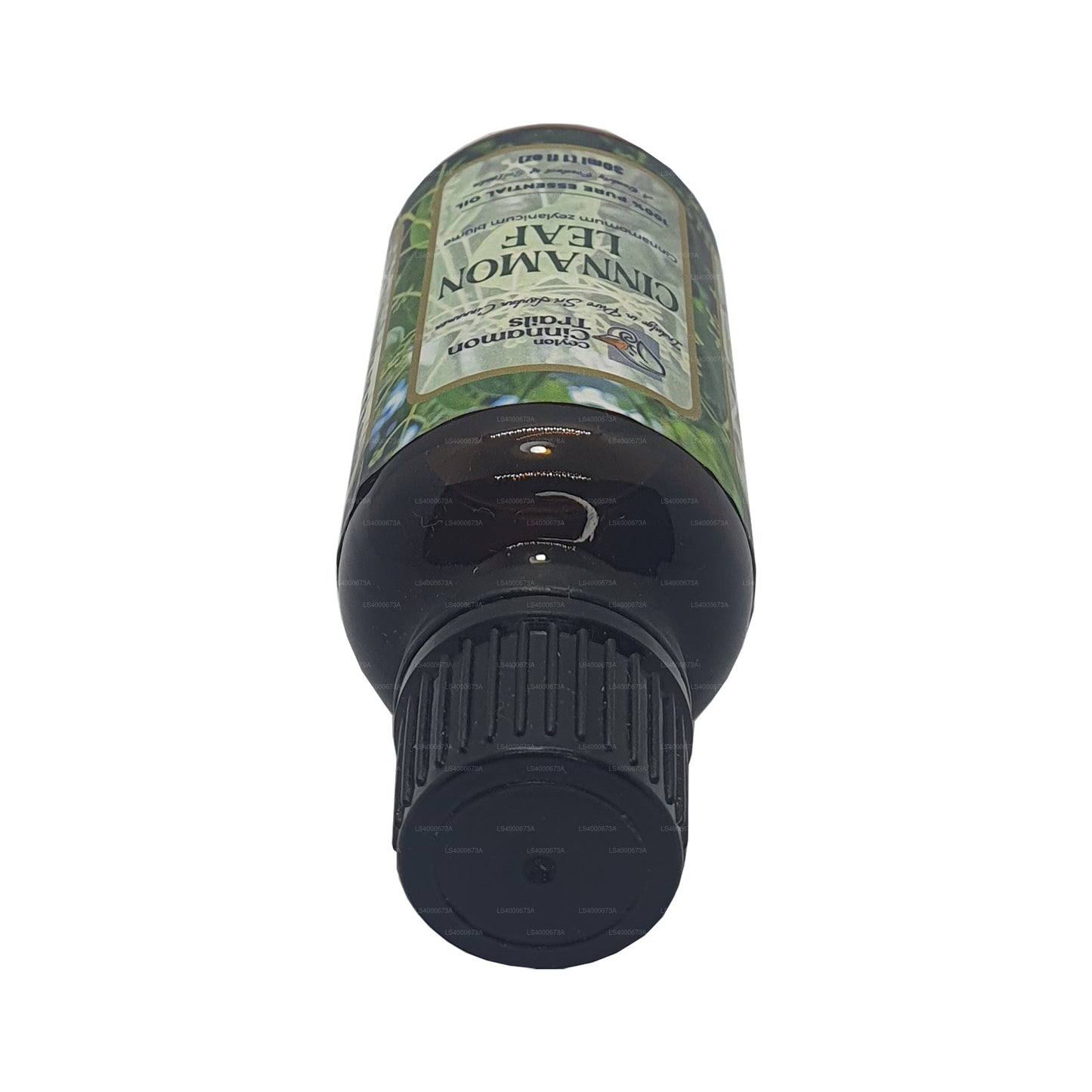 Эфирное масло листьев корицы Ceylon Cinnamon Trails (10 мл)