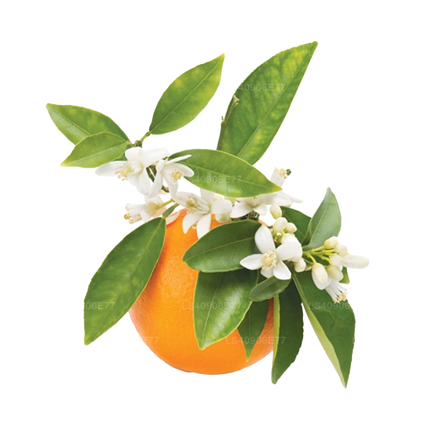 Эфирное масло Лакпура Петитгрейн (15 мл)